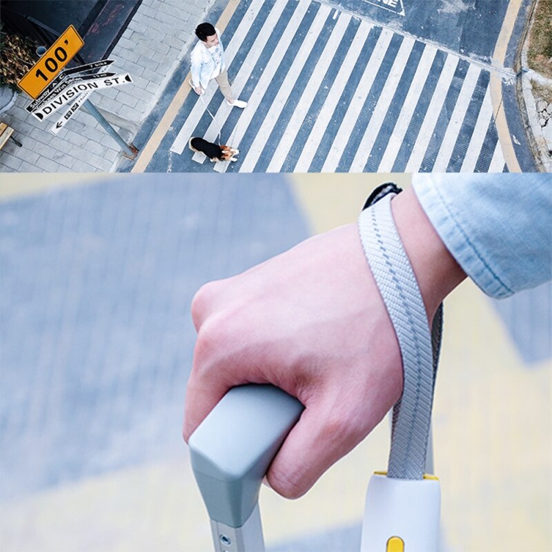 Laisse élastique pour chat, mains libres, harnais et collier pour chien, laisse de jogging avec ceinture ajustable.