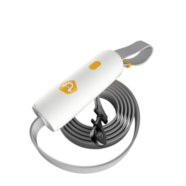 Laisse élastique pour chat, mains libres, harnais et collier pour chien, laisse de jogging avec ceinture ajustable.