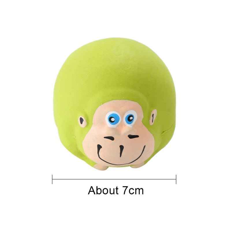 Collection de jouets pour chat : accessoires pour chats, (lot avantageux).